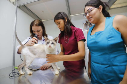 Pet Ceará Móvel chega a Maracanaú nesta segunda-feira (17) – Governo do Estado do Ceará