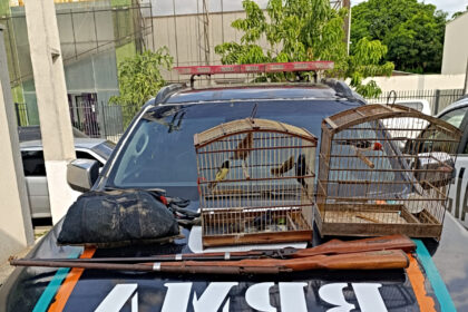 Aves silvestres, macaco-prego e espingardas artesanais são apreendidos pela PMCE em Itapipoca