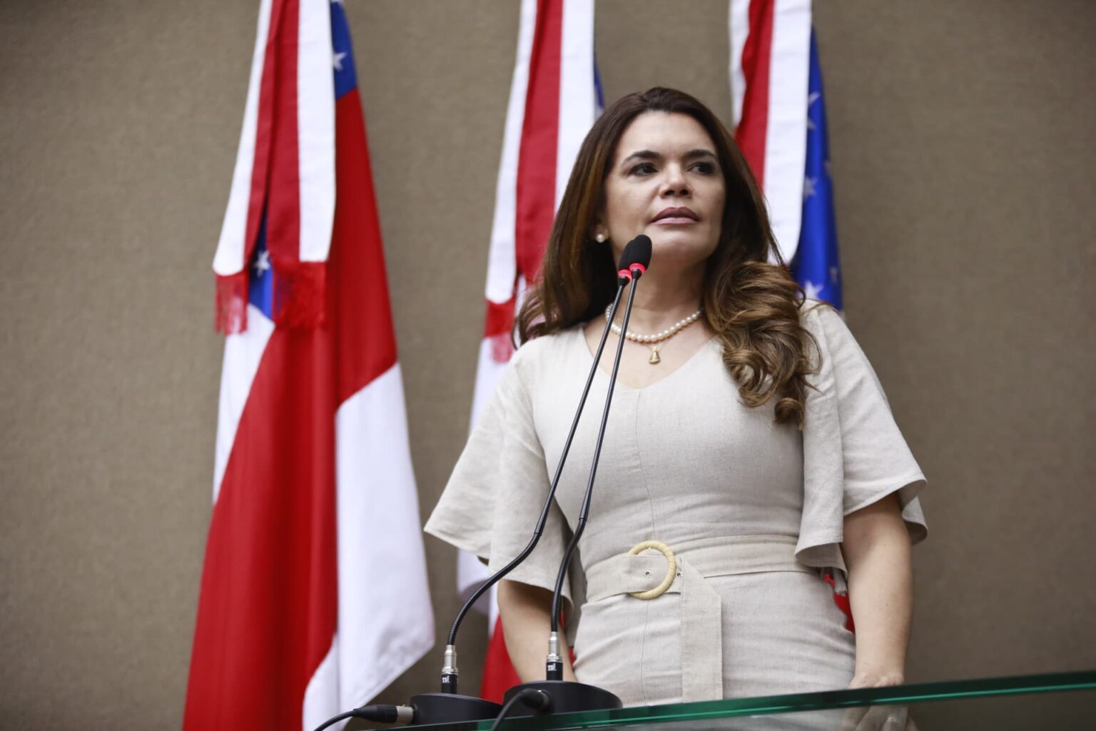 Assembleia Legislativa do Amazonas tem 68 novos Projetos de Lei em tramitação